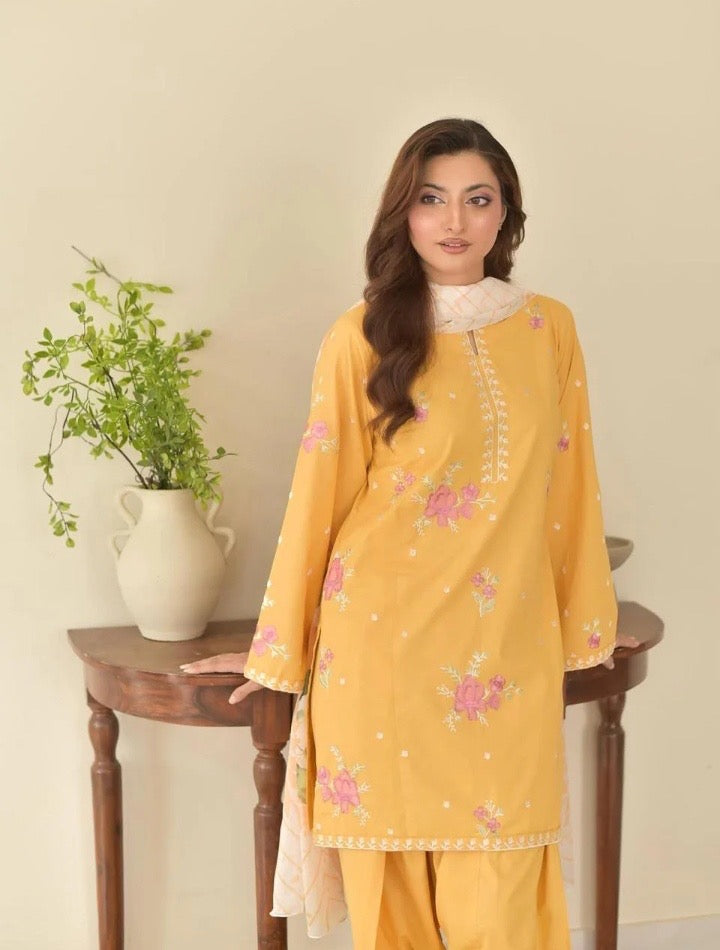 Sunaina 3pc