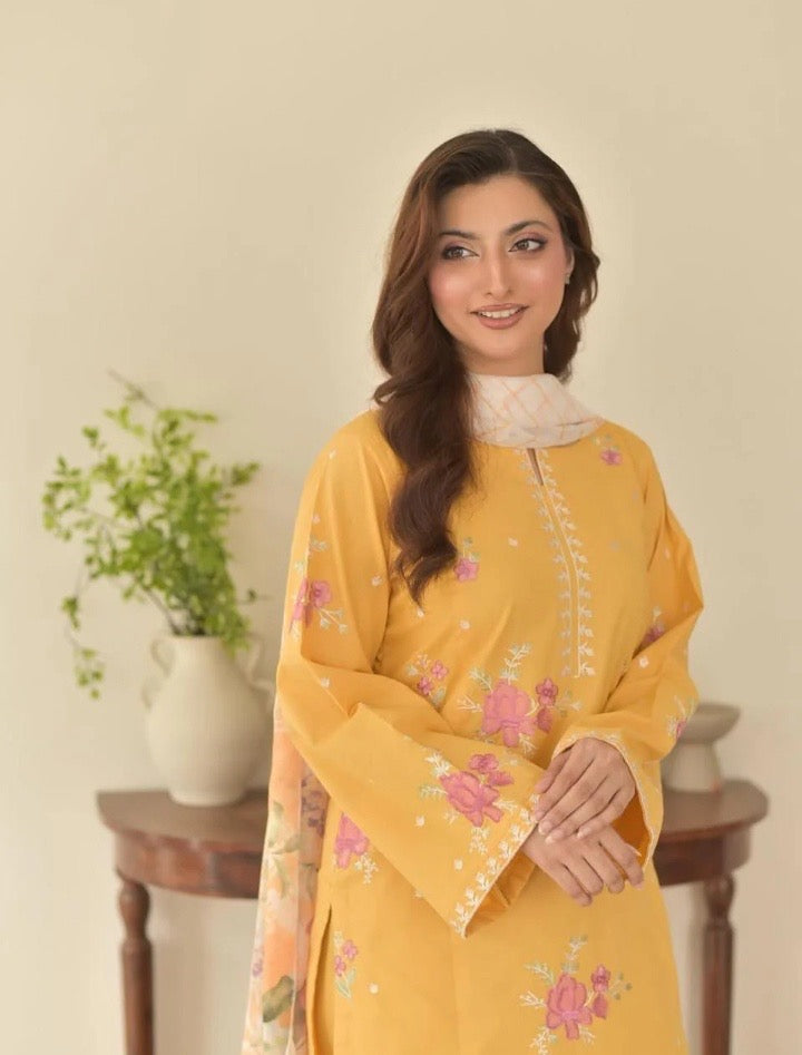 Sunaina 3pc