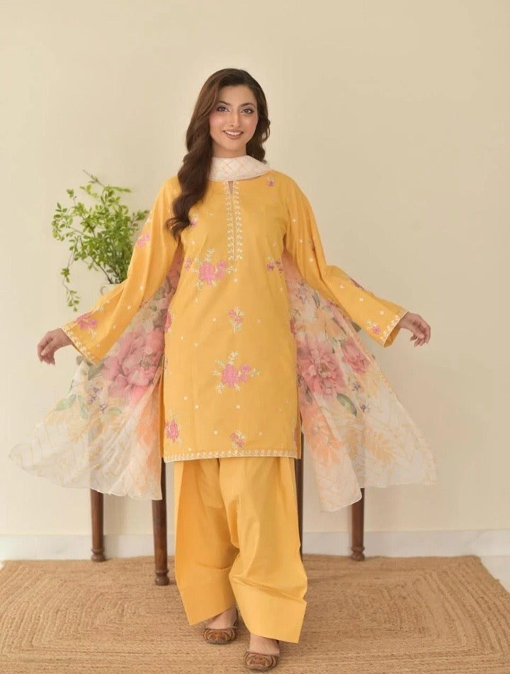 Sunaina 3pc