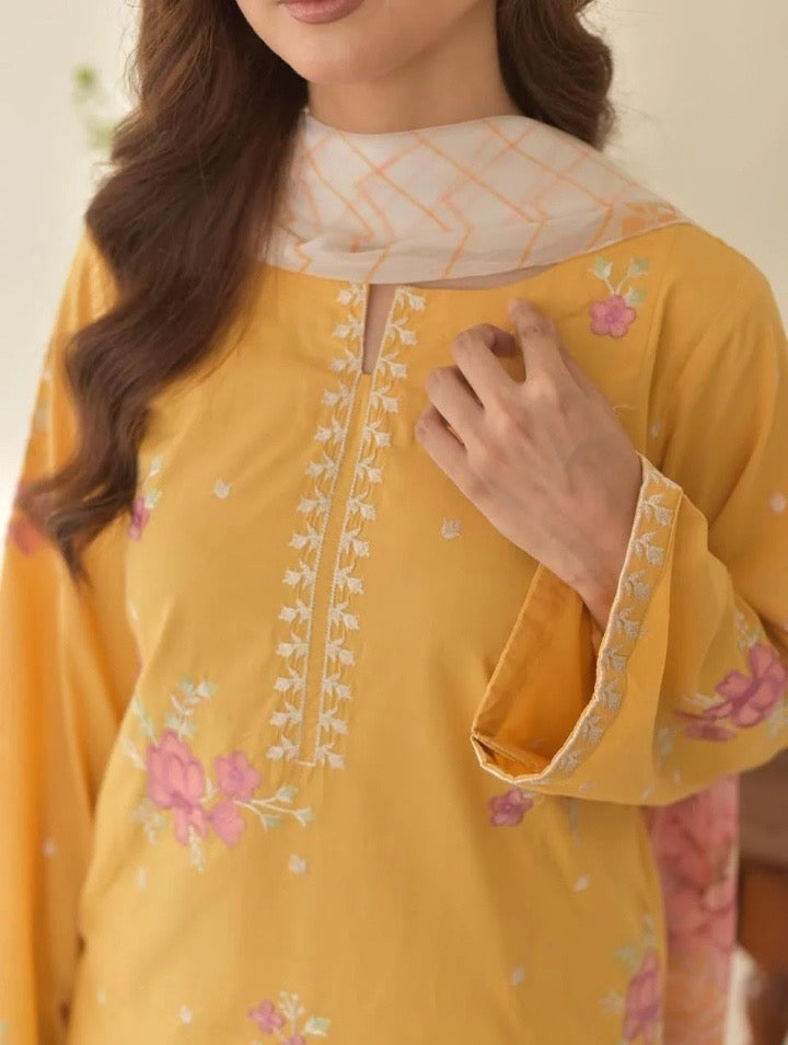 Sunaina 3pc